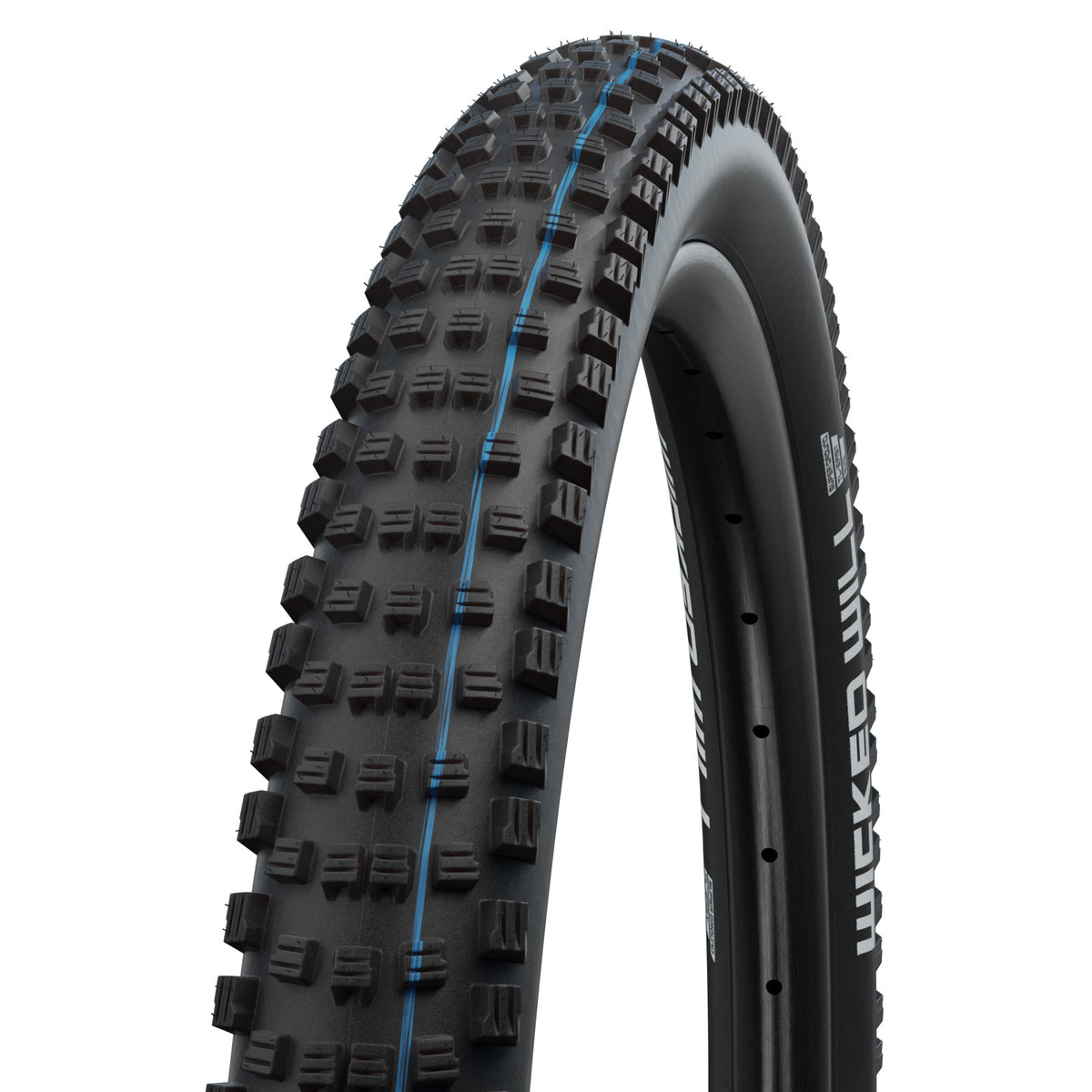 Schwalbe Wicked Will Tire - 29 x 2.4 Tubeless Folding BLK Evolution Line Super Trail Addix SpeedGrip