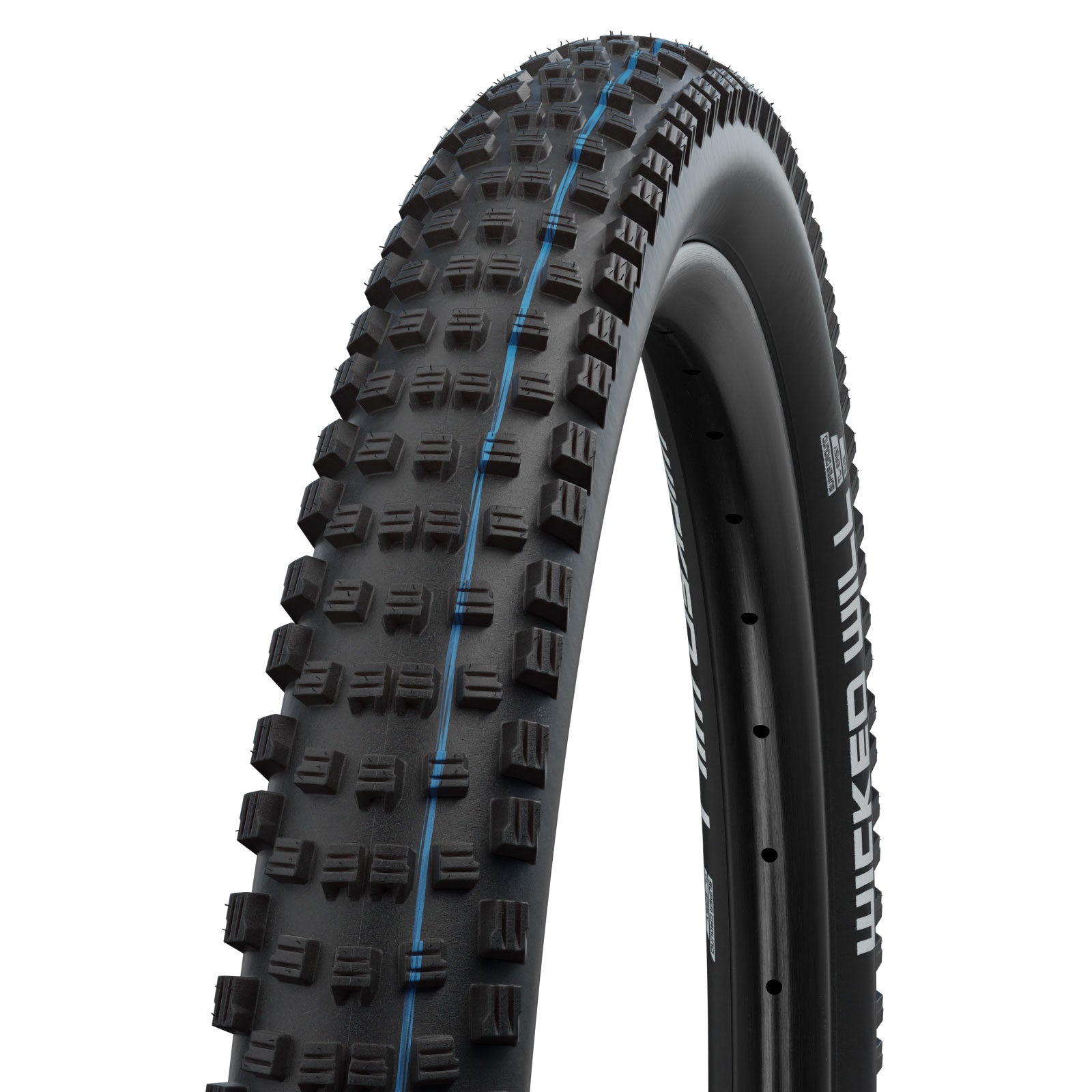 Schwalbe Wicked Will Tire - 29 x 2.4 Tubeless Folding BLK Evolution Line Super Trail Addix SpeedGrip