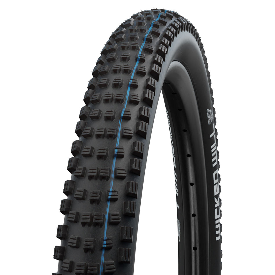 Schwalbe Wicked Will Tire - 29 x 2.4 Tubeless Folding BLK Evolution Line Super Trail Addix SpeedGrip